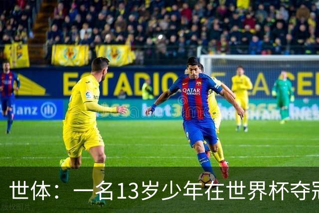 世体：一名13岁少年在世界杯夺冠庆祝活动中身亡