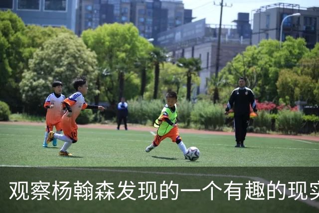 观察杨翰森发现的一个有趣的现实